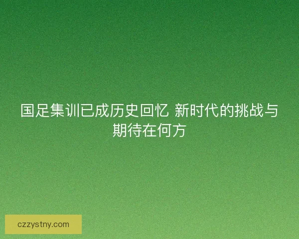 国足集训已成历史回忆 新时代的挑战与期待在何方